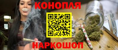 крисы Малгобек