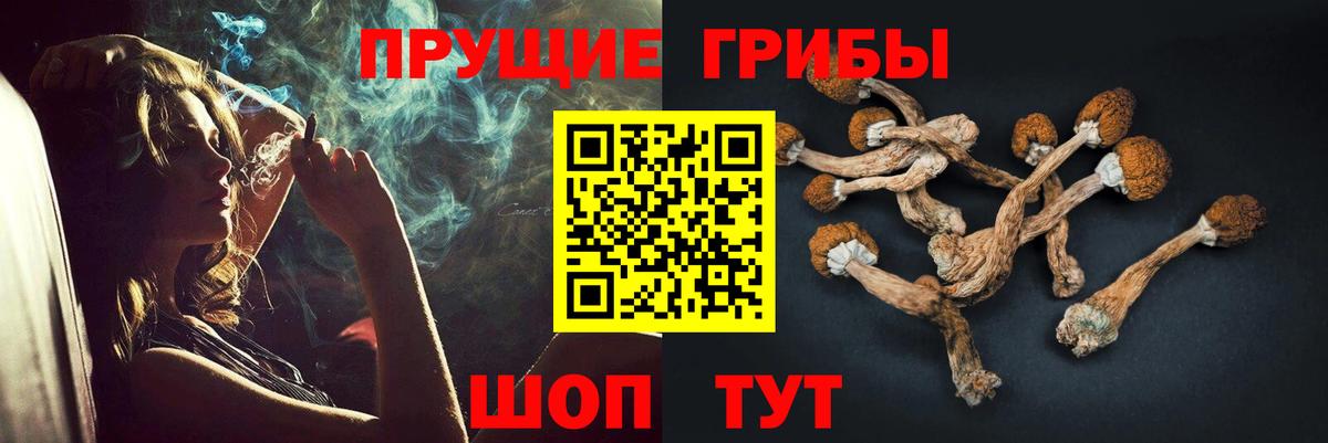 Псилоцибиновые грибы Magic Shrooms Ессентуки